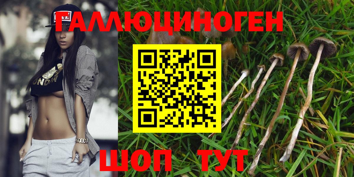 Галлюциногенные грибы мицелий Алапаевск