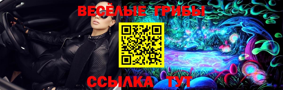 Галлюциногенные грибы мицелий  Галлюциногенные грибы GOLDEN TEACHER  Алапаевск  купить   Вход с VPN 